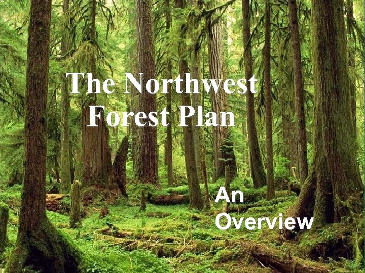 The Northwest Forest Plan An Overview 