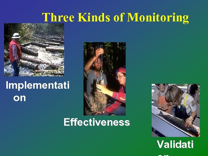 Three Kinds of Monitoring Implementati on Effectiveness Validati 