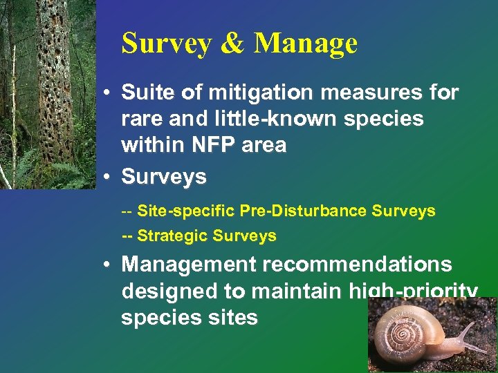 Survey & Manage • Suite of mitigation measures for rare and little-known species within