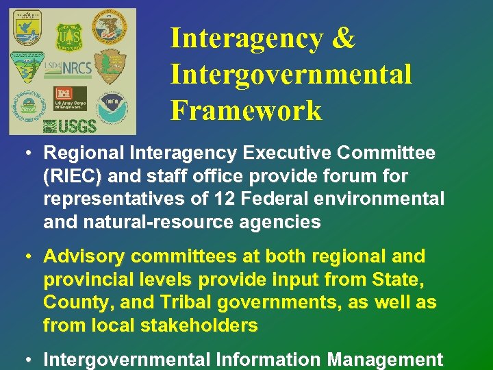 Interagency & Intergovernmental Framework • Regional Interagency Executive Committee (RIEC) and staff office provide