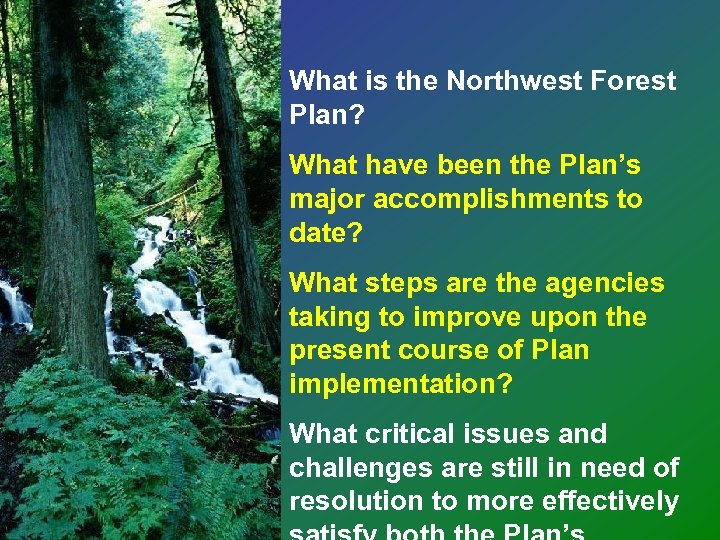 What is the Northwest Forest Plan? What have been the Plan’s major accomplishments to