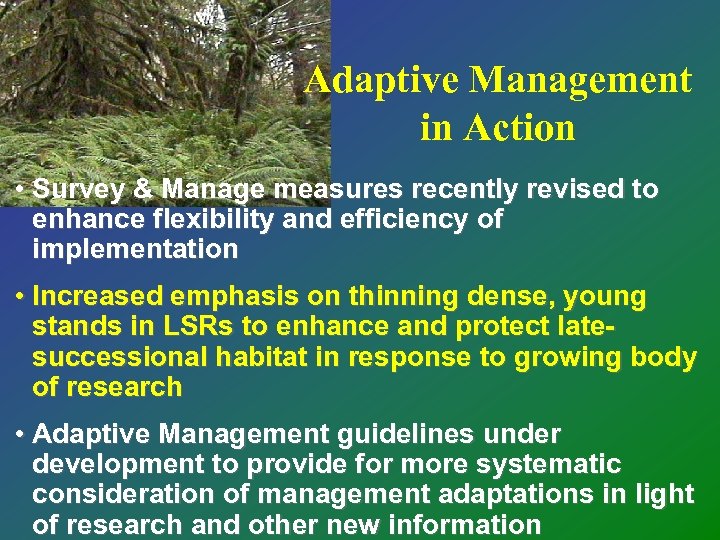 Adaptive Management in Action • Survey & Manage measures recently revised to enhance flexibility