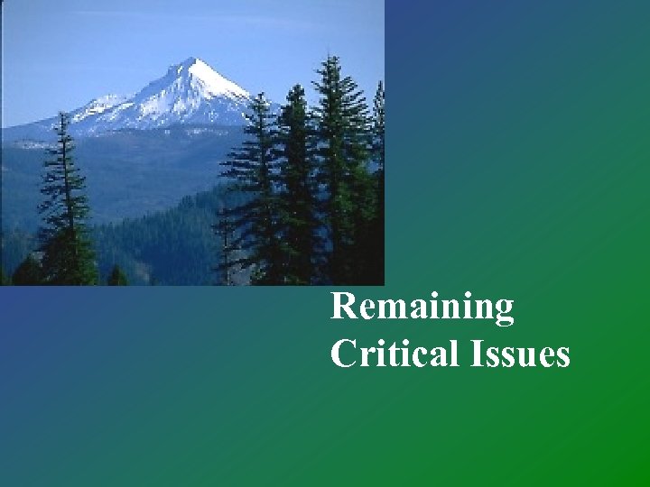 Remaining Critical Issues 