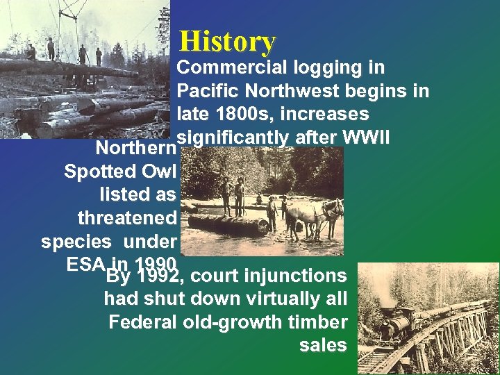 History Commercial logging in Pacific Northwest begins in late 1800 s, increases significantly after