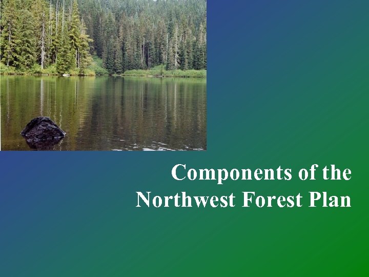 Components of the Northwest Forest Plan 