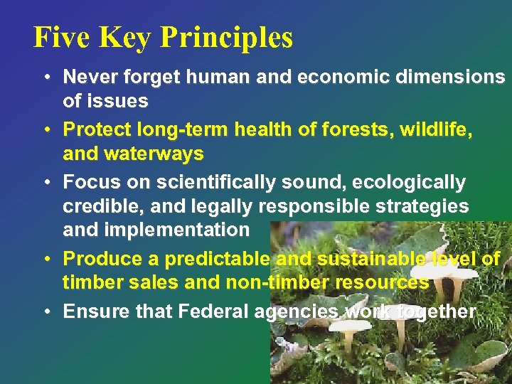 Five Key Principles • Never forget human and economic dimensions of issues • Protect