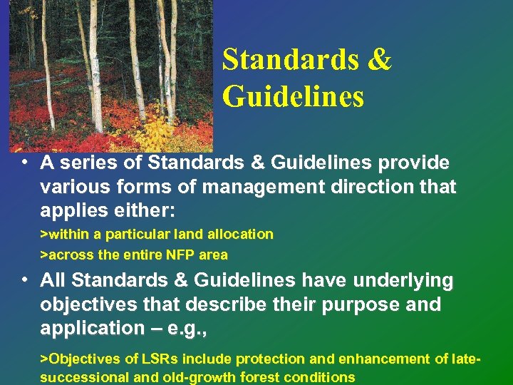 Standards & Guidelines • A series of Standards & Guidelines provide various forms of