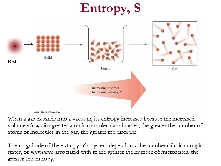Entropy, S BEC When a gas expands into a vacuum, its entropy increases because
