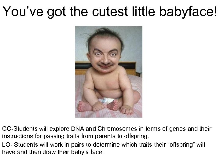 You’ve got the cutest little babyface! CO-Students will explore DNA and Chromosomes in terms