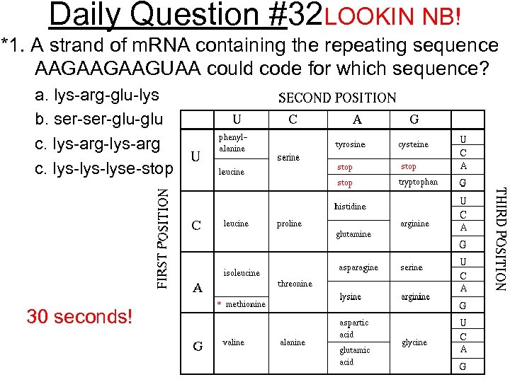 Daily Question #32 LOOKIN NB! *1. A strand of m. RNA containing the repeating