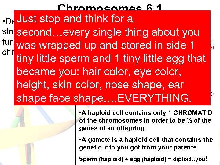 Chromosomes 6. 1 • Chromosomes are Just stop and think for a like Google…TONS