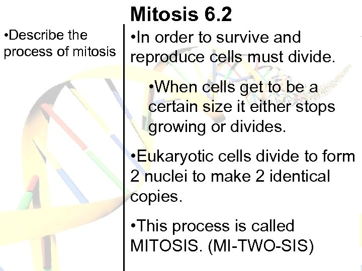 Mitosis 6. 2 • Describe the • In order to survive and process of