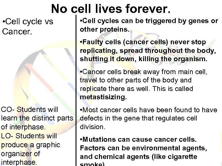 No cell lives forever. • Cell cycle vs Cancer. • Cell cycles can be
