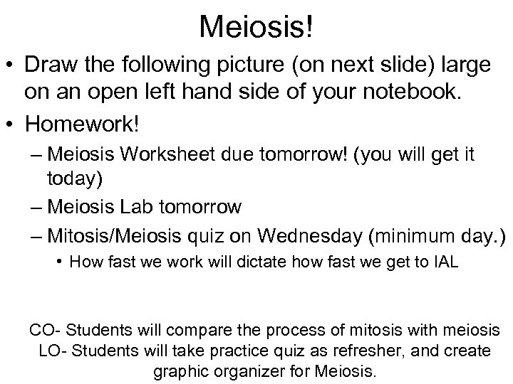 Meiosis! • Draw the following picture (on next slide) large on an open left