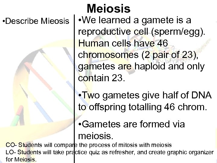 Meiosis • Describe Mieosis • We learned a gamete is a reproductive cell (sperm/egg).
