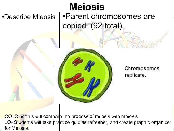 Meiosis • Describe Mieosis • Parent chromosomes are copied. (92 total) CO- Students will
