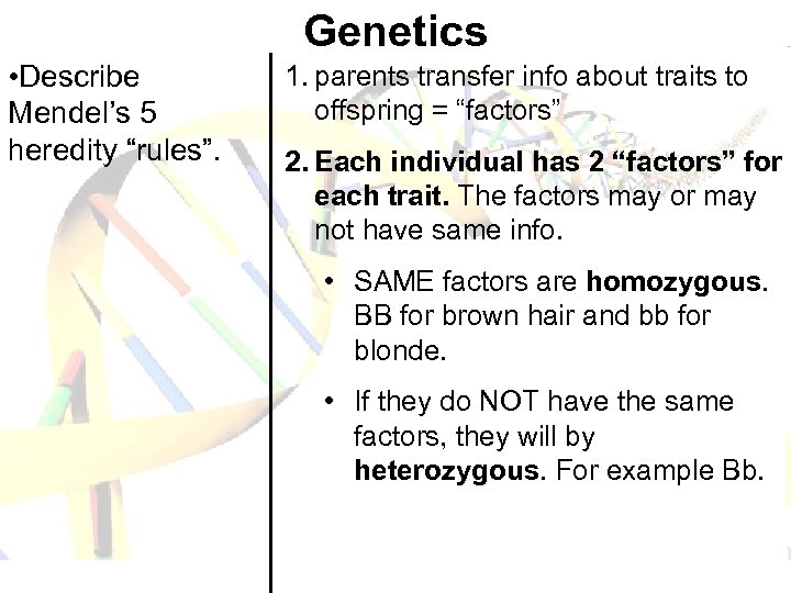 Genetics • Describe Mendel’s 5 heredity “rules”. 1. parents transfer info about traits to