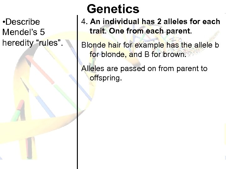 Genetics • Describe Mendel’s 5 heredity “rules”. 4. An individual has 2 alleles for