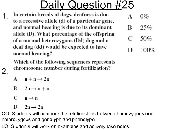 Daily Question #25 1. 2. CO- Students will compare the relationships between homozygous and