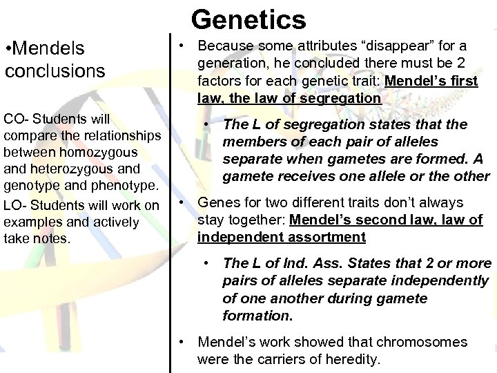 Genetics • Mendels conclusions • Because some attributes “disappear” for a generation, he concluded
