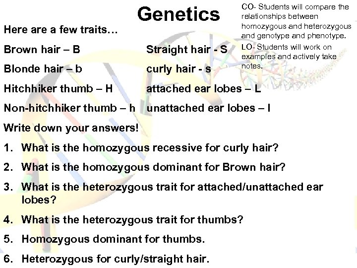 Here a few traits… Genetics CO- Students will compare the relationships between homozygous and