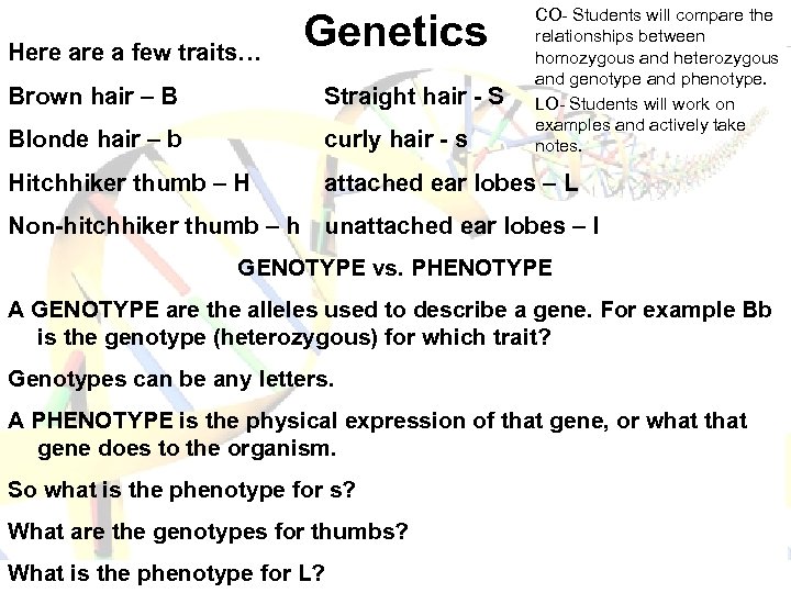 Here a few traits… Genetics CO- Students will compare the relationships between homozygous and