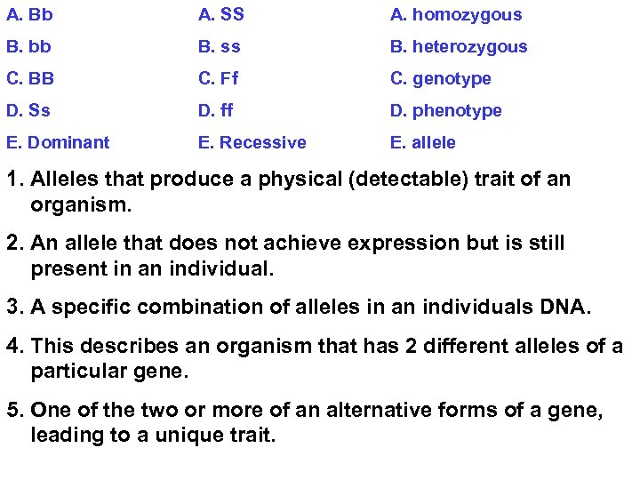 A. Bb A. SS A. homozygous B. bb B. ss B. heterozygous C. BB