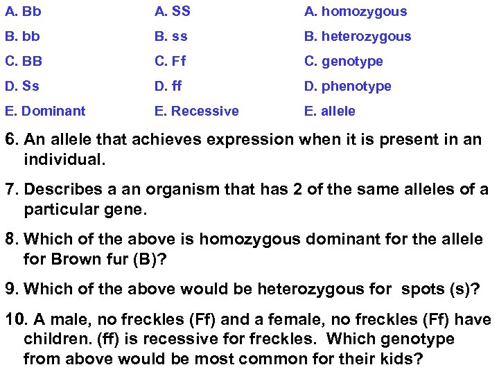 A. Bb A. SS A. homozygous B. bb B. ss B. heterozygous C. BB