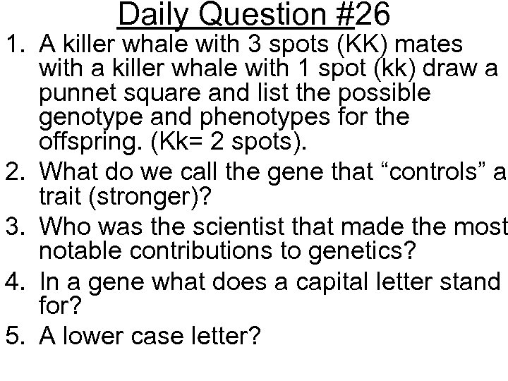 Daily Question #26 1. A killer whale with 3 spots (KK) mates with a