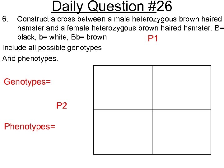 Daily Question #26 6. Construct a cross between a male heterozygous brown haired hamster