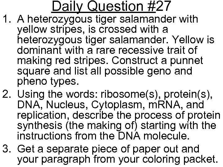 Daily Question #27 1. A heterozygous tiger salamander with yellow stripes, is crossed with