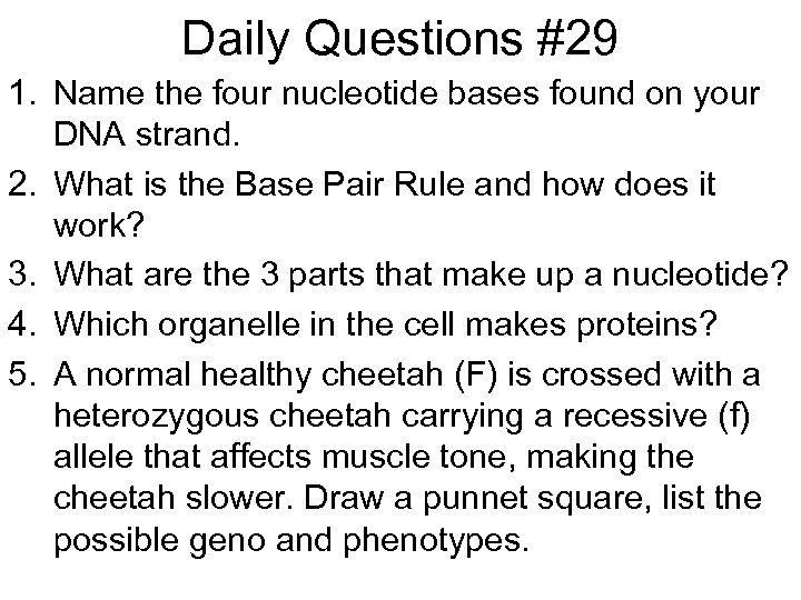 Daily Questions #29 1. Name the four nucleotide bases found on your DNA strand.