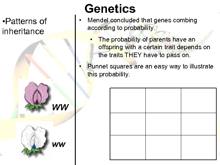 Genetics • Patterns of inheritance • Mendel concluded that genes combing according to probability.