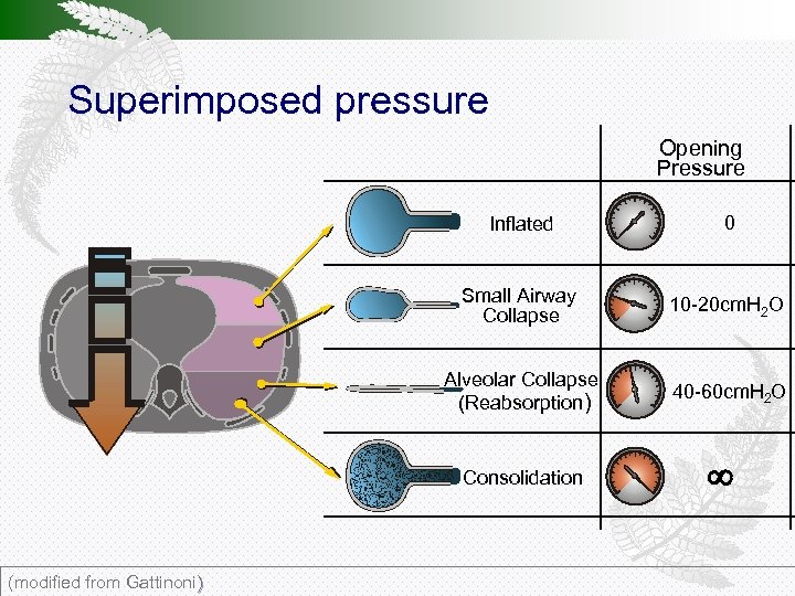 Superimposed pressure Opening Pressure Inflated 0 Small Airway Collapse 10 -20 cm. H 2