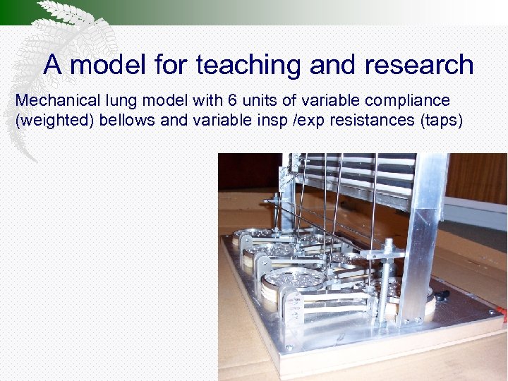 A model for teaching and research Mechanical lung model with 6 units of variable
