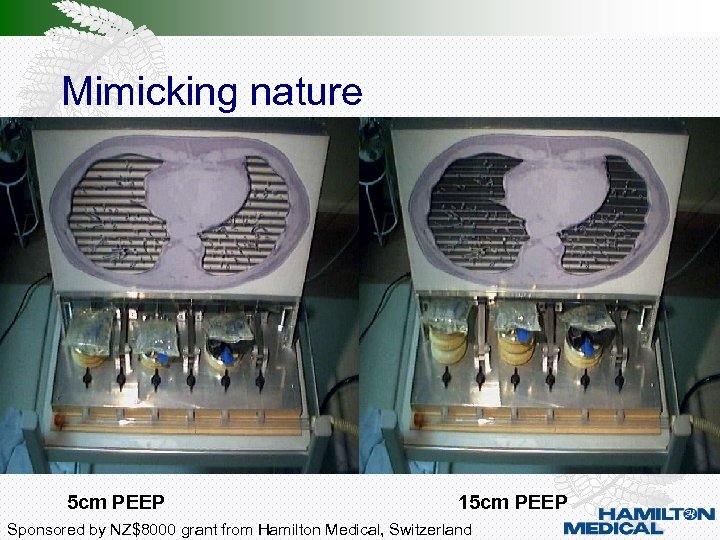 Mimicking nature 5 cm PEEP 15 cm PEEP Sponsored by NZ$8000 grant from Hamilton