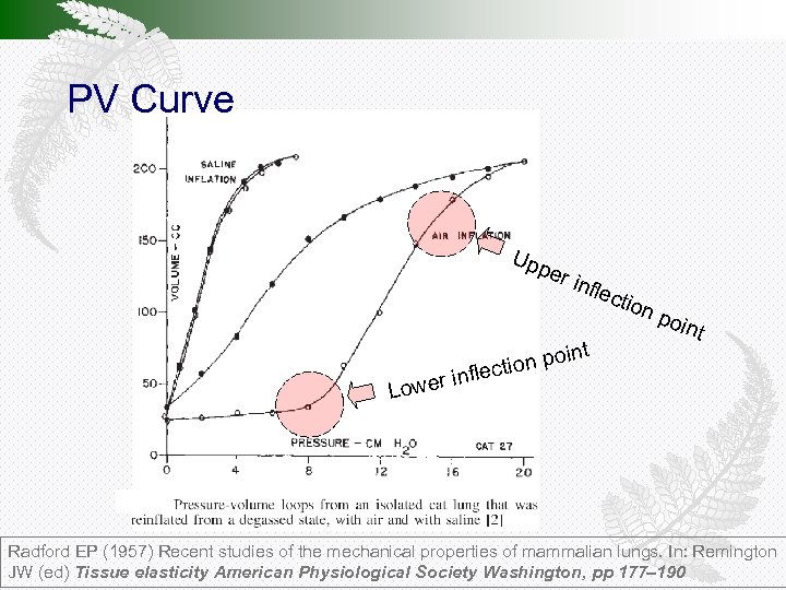 PV Curve Upp nfle oin tion p lec inf Lower er i ctio t