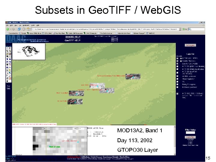 Subsets in Geo. TIFF / Web. GIS MOD 13 A 2, Band 1 Day