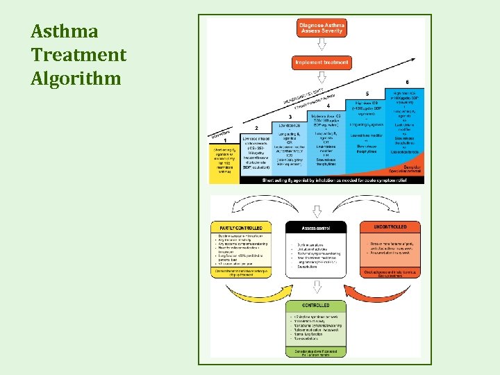 Asthma Treatment Algorithm 