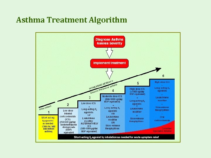 Asthma Treatment Algorithm 