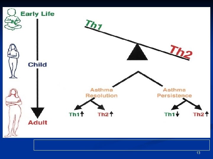 Melbourne Asthma Study data (1964 -1999), Smart et al. , JACI 2003 13 