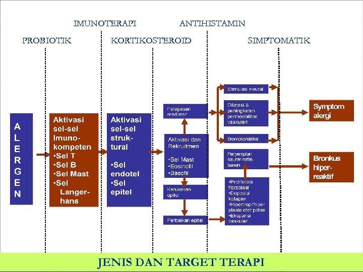 IMUNOTERAPI PROBIOTIK ANTIHISTAMIN KORTIKOSTEROID SIMPTOMATIK JENIS DAN TARGET TERAPI 