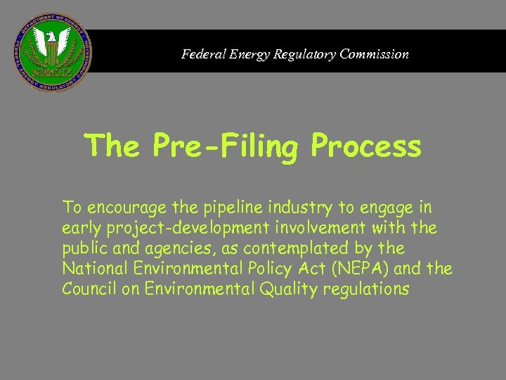 Federal Energy Regulatory Commission The Pre-Filing Process To encourage the pipeline industry to engage