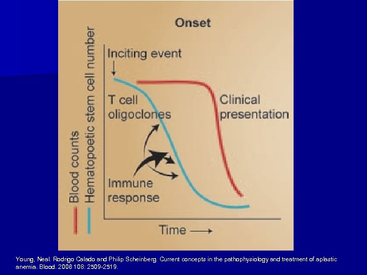 Young, Neal. Rodrigo Calado and Philip Scheinberg. Current concepts in the pathophysiology and treatment