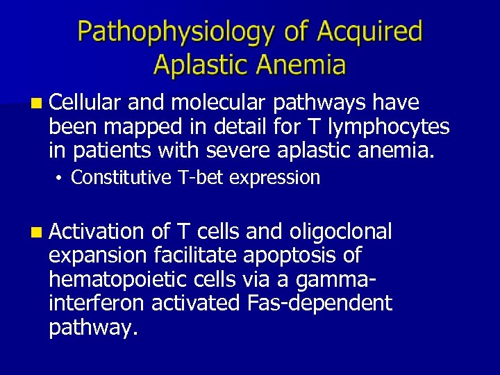 n Cellular and molecular pathways have been mapped in detail for T lymphocytes in