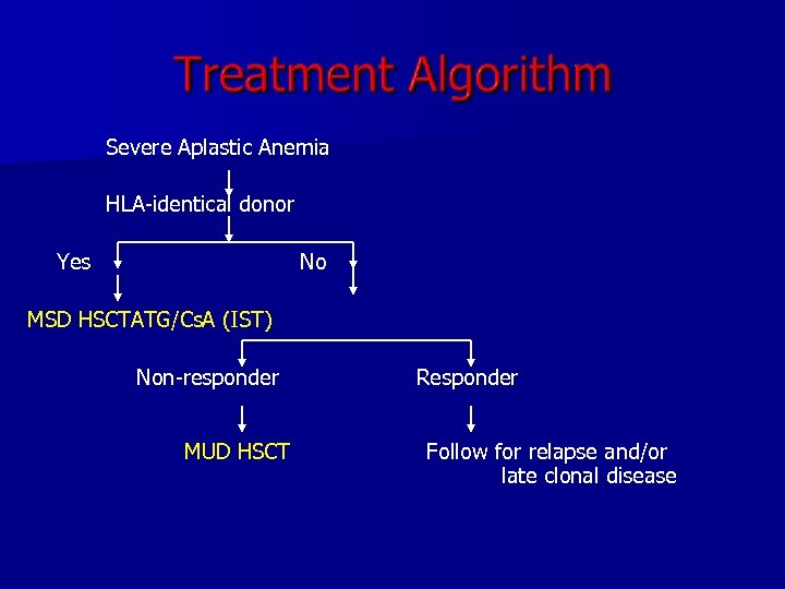 Severe Aplastic Anemia HLA-identical donor Yes No MSD HSCTATG/Cs. A (IST) Non-responder MUD HSCT