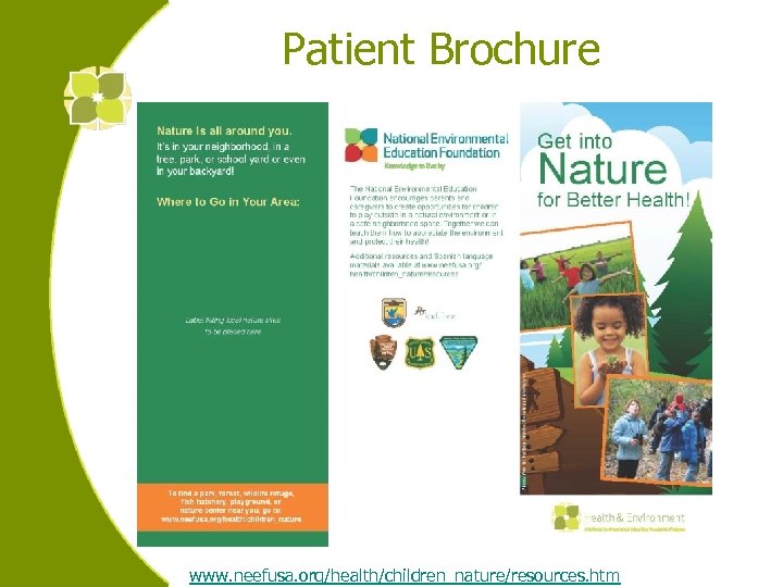 Patient Brochure www. neefusa. org/health/children_nature/resources. htm 