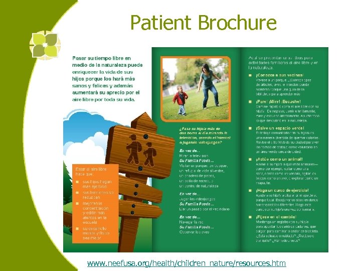 Patient Brochure www. neefusa. org/health/children_nature/resources. htm 