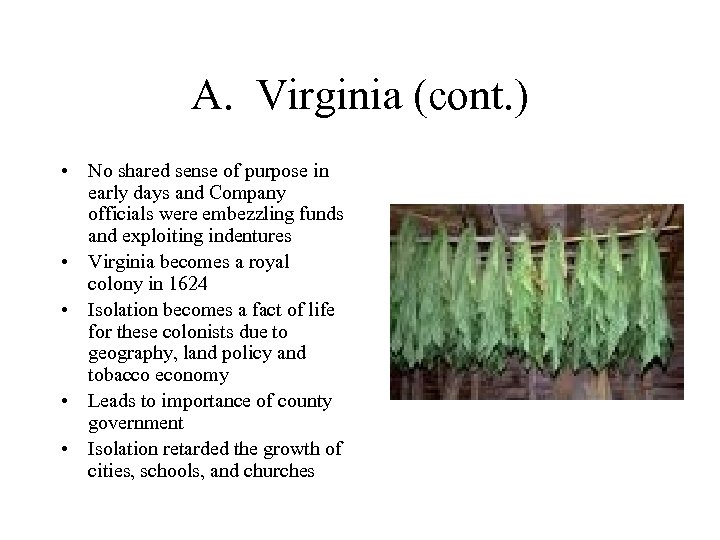 A. Virginia (cont. ) • No shared sense of purpose in early days and