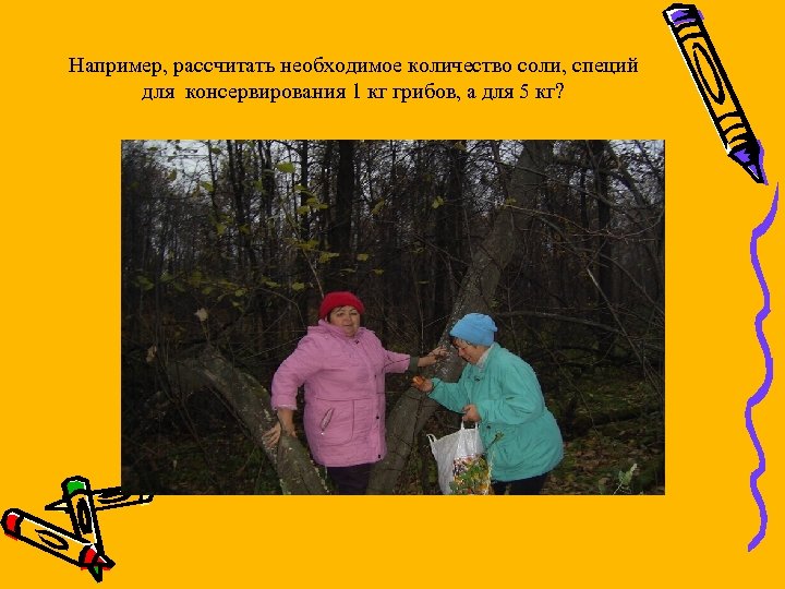 Например, рассчитать необходимое количество соли, специй для консервирования 1 кг грибов, а для 5